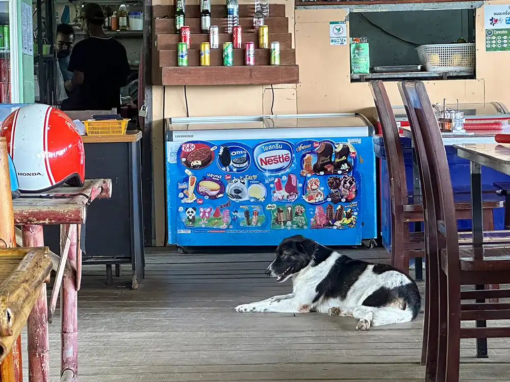 Koh Lanta