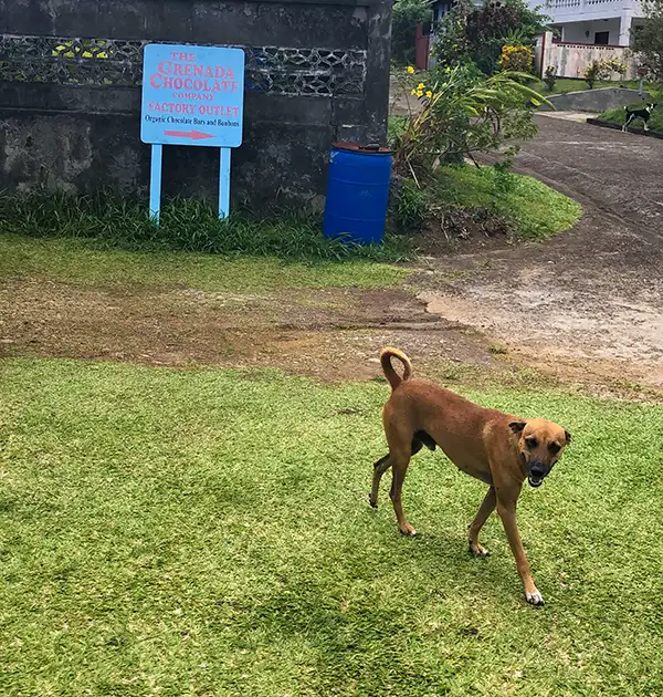 Grenada