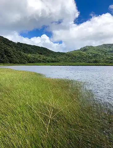 GRENADA