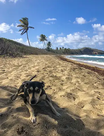Grenada, Caribbean