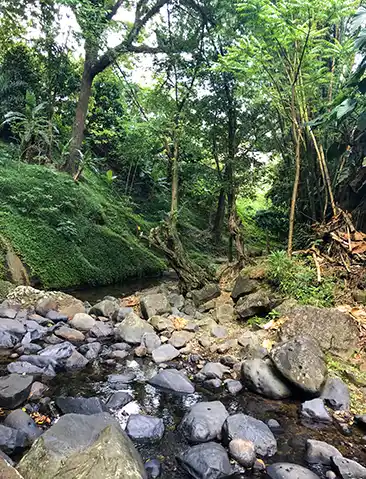 Grenada, Caribbean