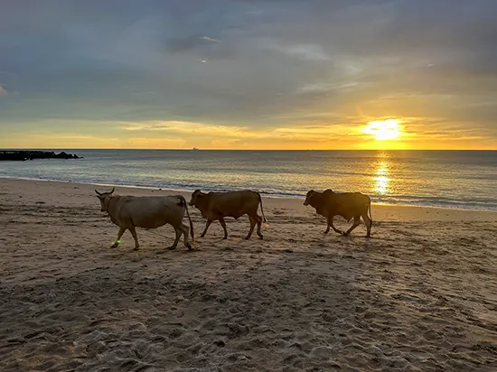 Koh Lanta Beaches